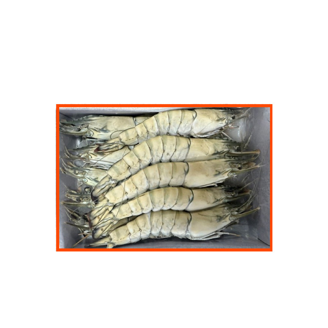 Black Tiger Shrimps - Super Jumbo U10
