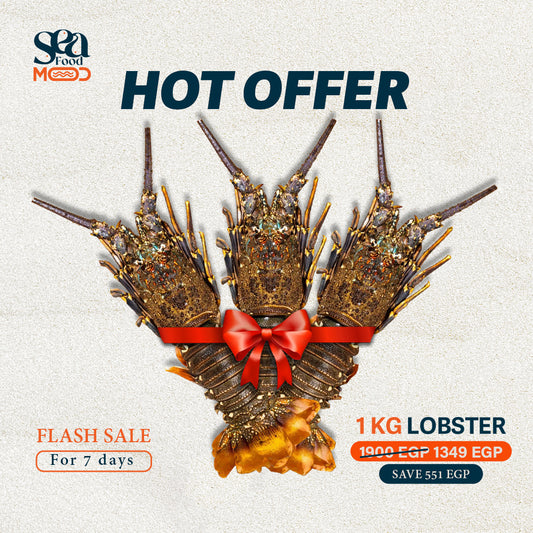 Premium Lobster - 1 KG