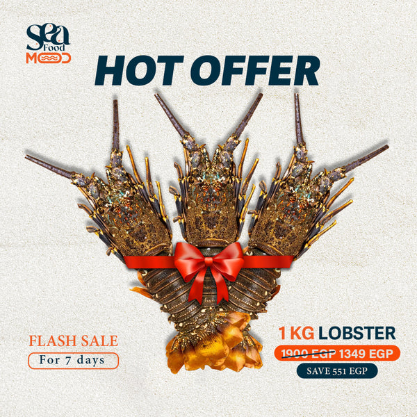 Premium Lobster - 1 KG