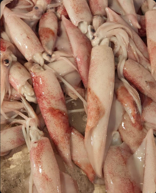 Fresh Local Stuffed Calamari