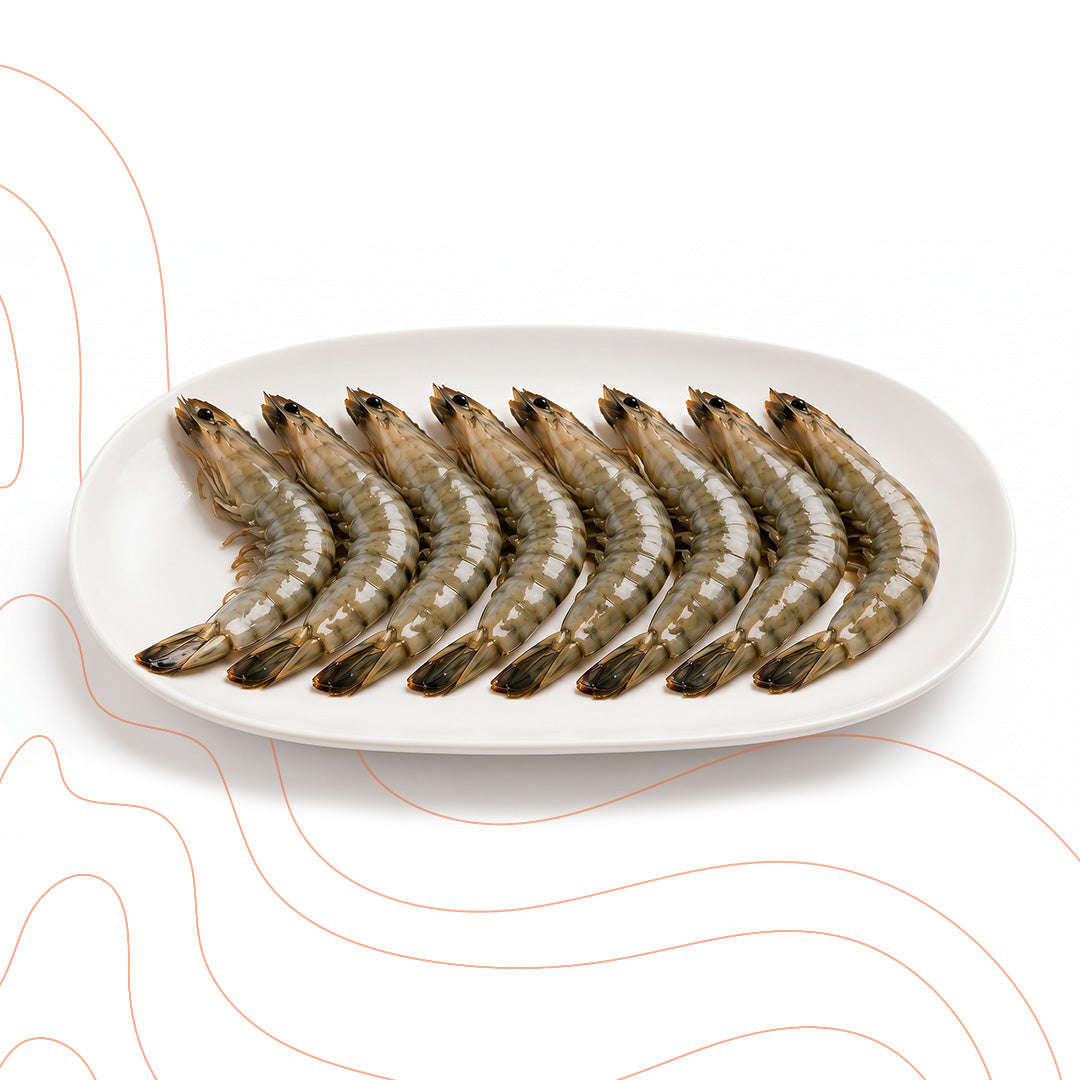 Box Black Tiger Shrimps - Super Jumbo U8