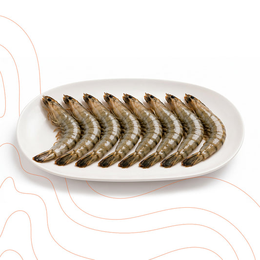 Box Black Tiger Shrimps - Super Jumbo U8