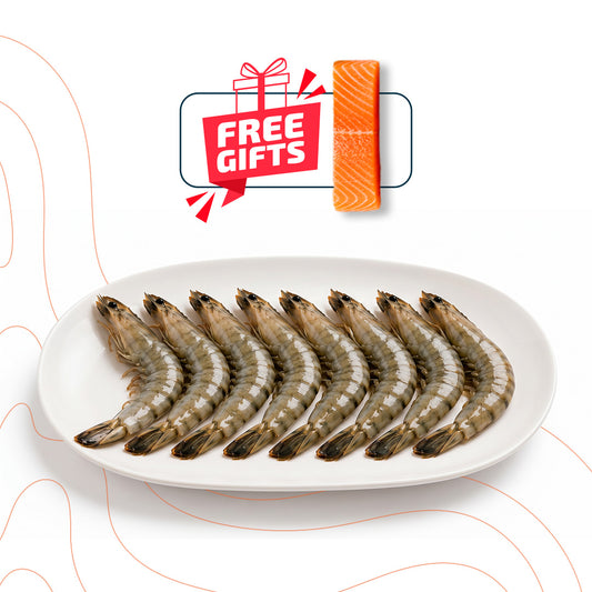 Box Black Tiger Shrimp (U10) + FREE 200g Salmon portion offer
