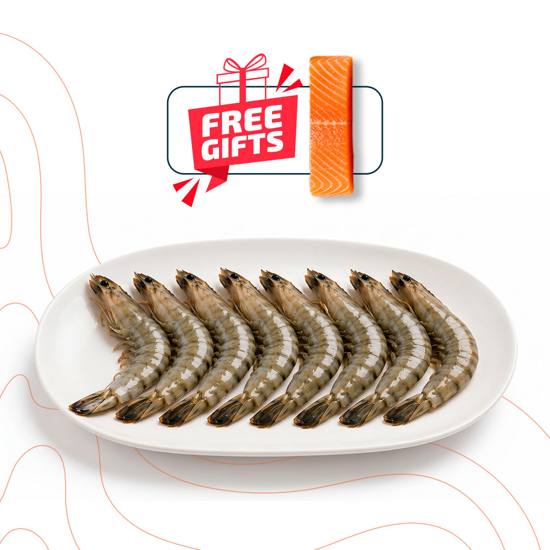 Box Black Tiger Shrimp Super Jumbo U8 + FREE 200g Salmon Portion Offer