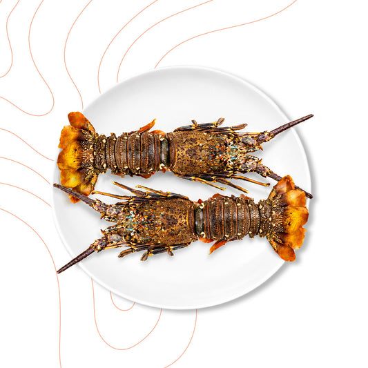 Premium Whole Lobster 2-Piec 1 KG