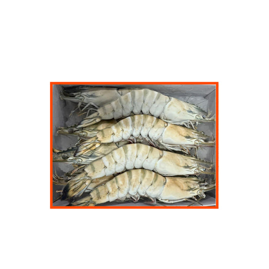 Black Tiger Shrimps - Super Jumbo U8