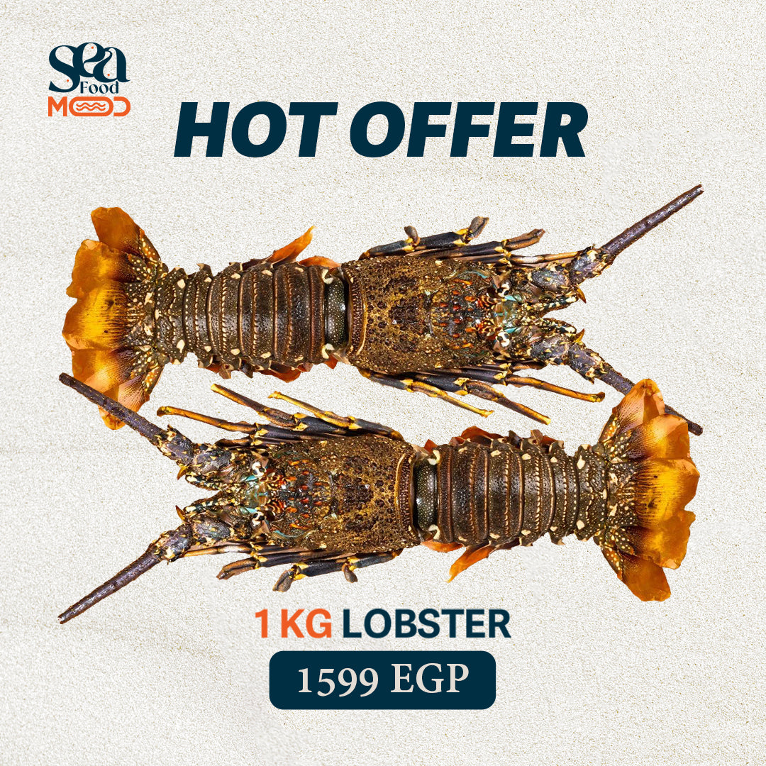 Premium Whole Lobster 2-Piec 1 KG