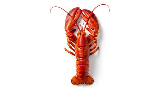 Premium Whole Lobster 1kg