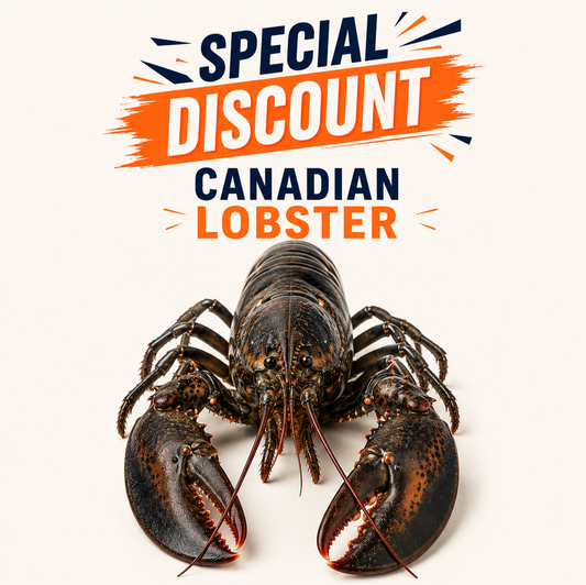 Canadian Lobster 500g – 750g
