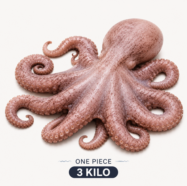 Whole Octopus (One Piece) – 3 KG