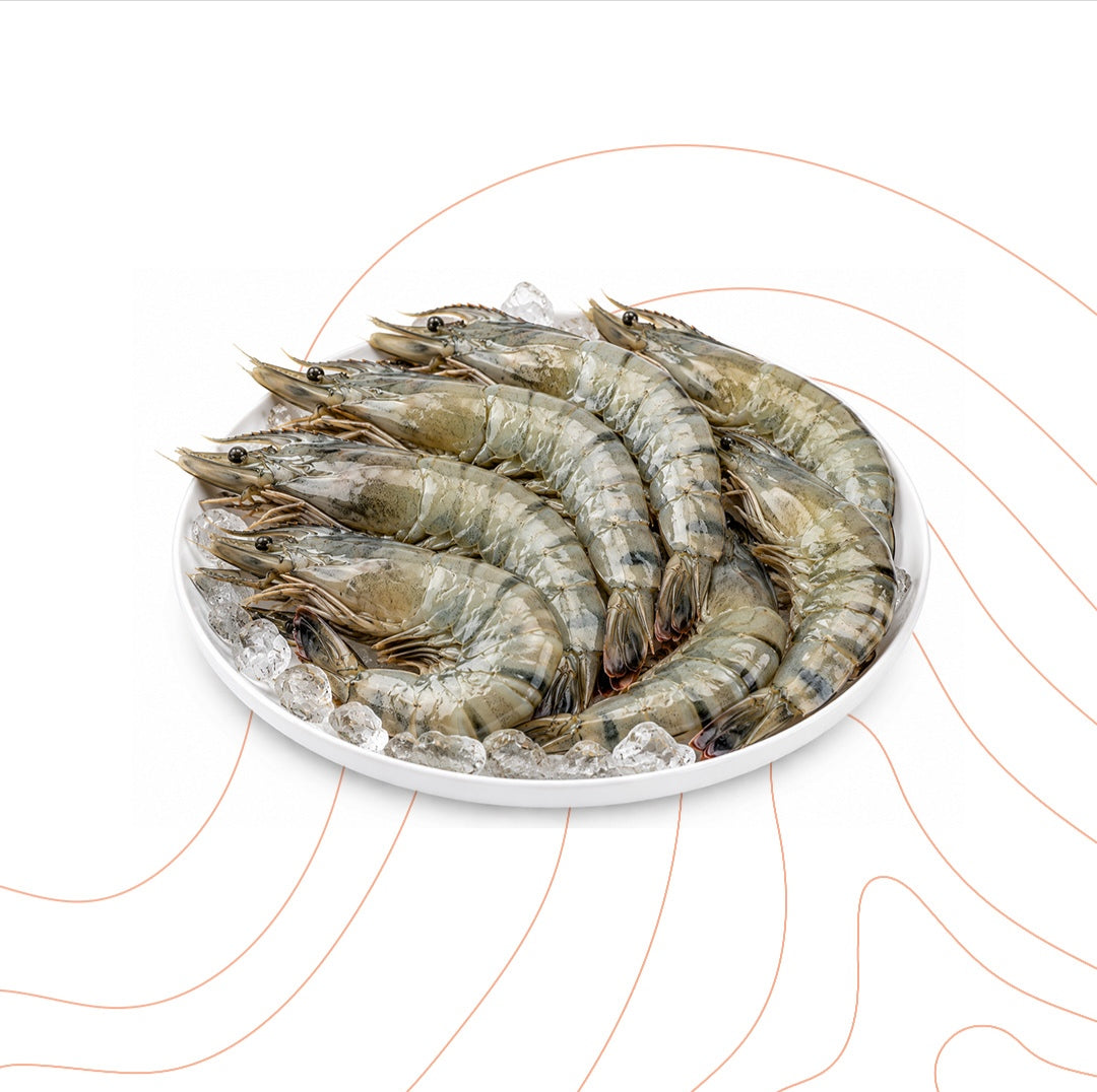 Ecuadorean Shrimp 20/30 Large 1kg