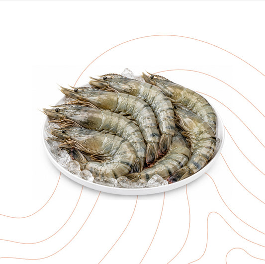 Ecuadorean Shrimp 20/30 Large 1kg
