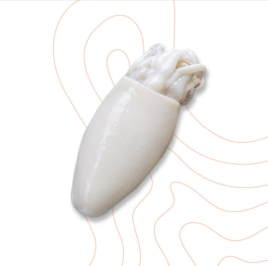 whole squid 1kg